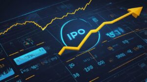 What is an IPO?